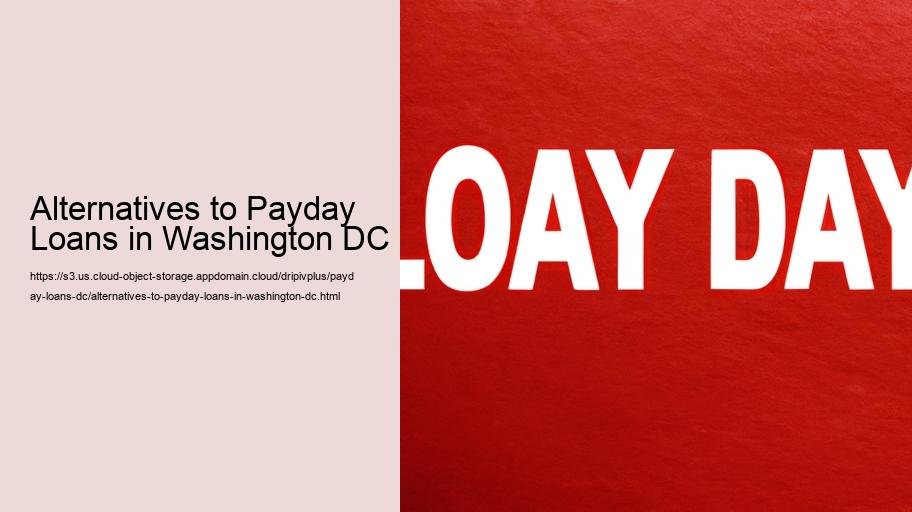 Alternatives to Payday Loans in Washington DC