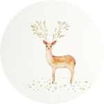 李柳杨 幻想家