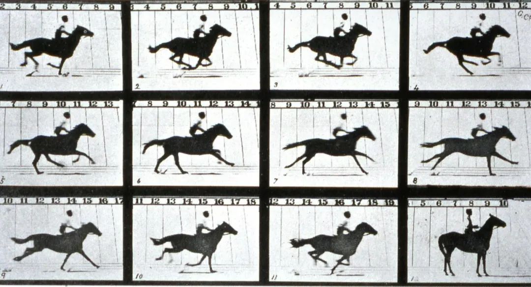 列夫·马诺维奇：《数字电影和动态影像的历史》（2001）