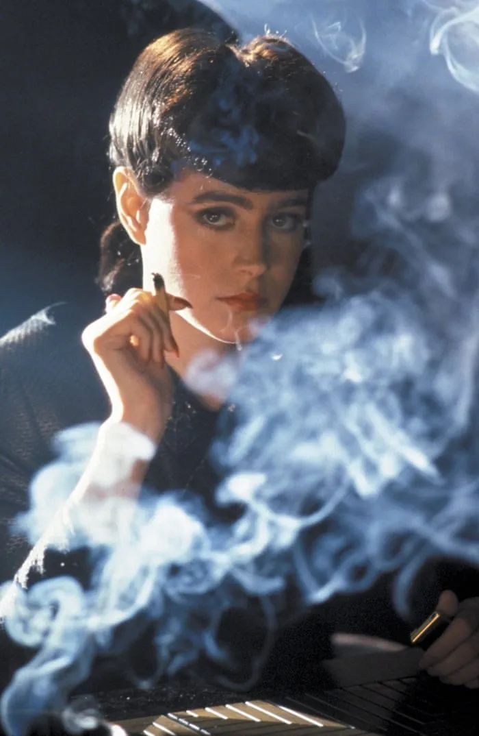 朱莉娅娜·布鲁诺:《漫步城市:后现代主义和〈银翼杀手〉》(1987) 朱莉娅娜·布鲁诺:《漫步城市:后现代主义和〈银翼杀手〉》(1987)