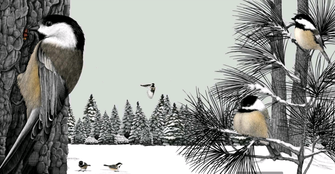 birdWatching
