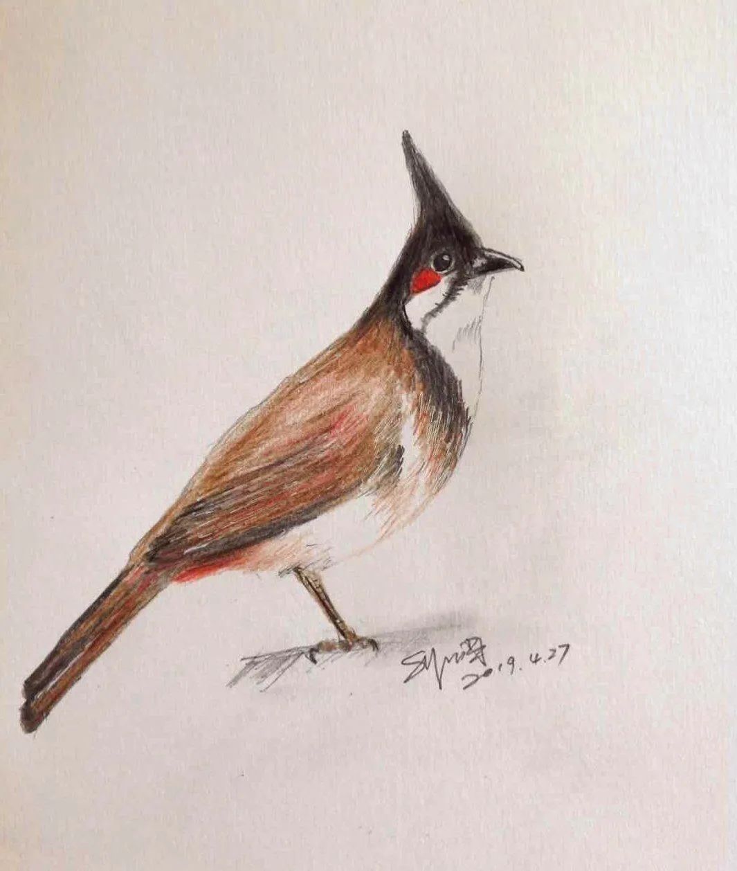 birdWatching