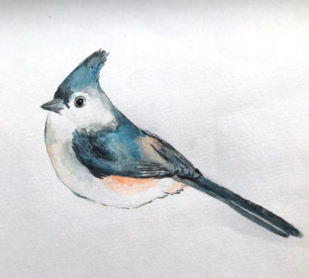 birdWatching