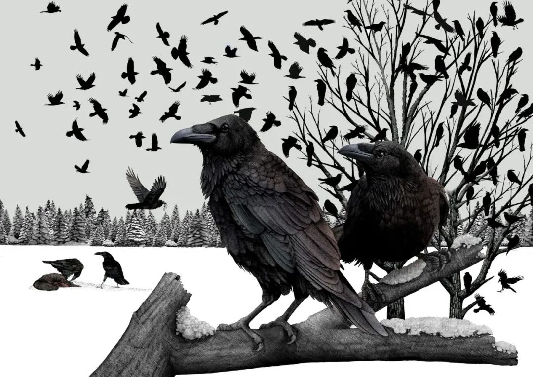 birdWatching