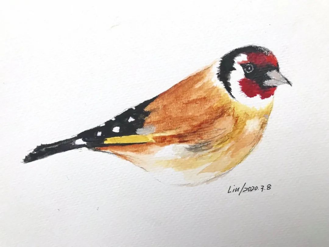 birdWatching