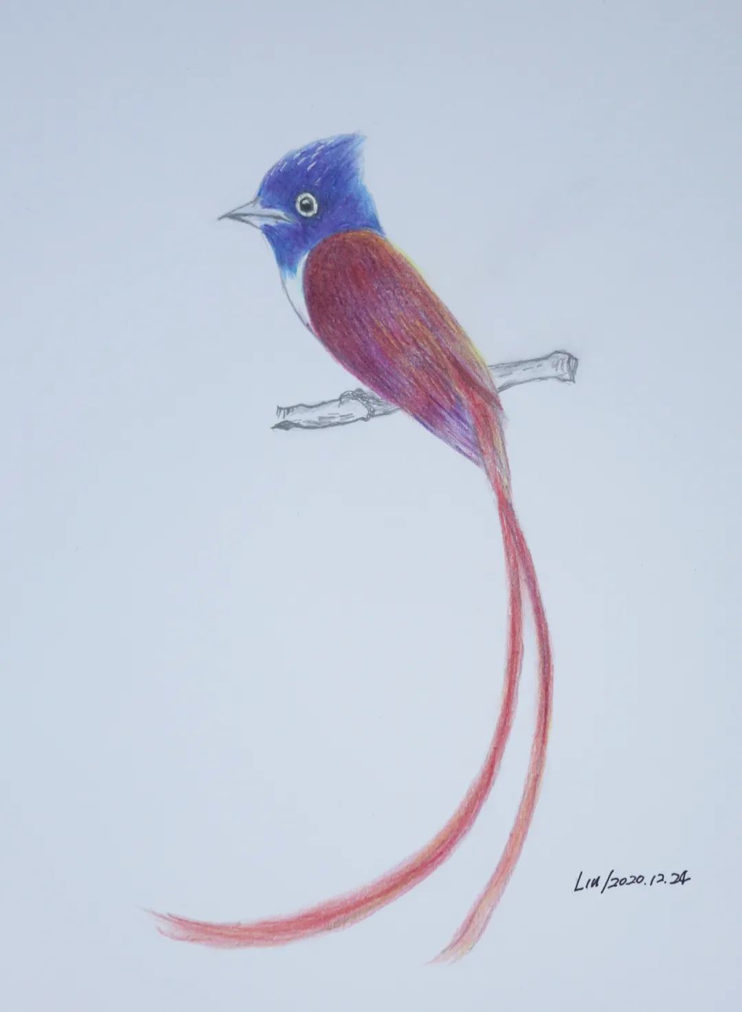 birdWatching
