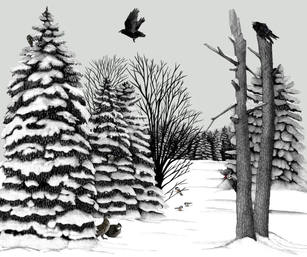birdWatching
