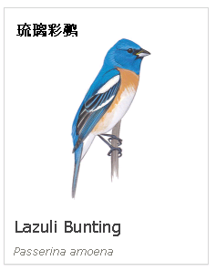 birdWatching