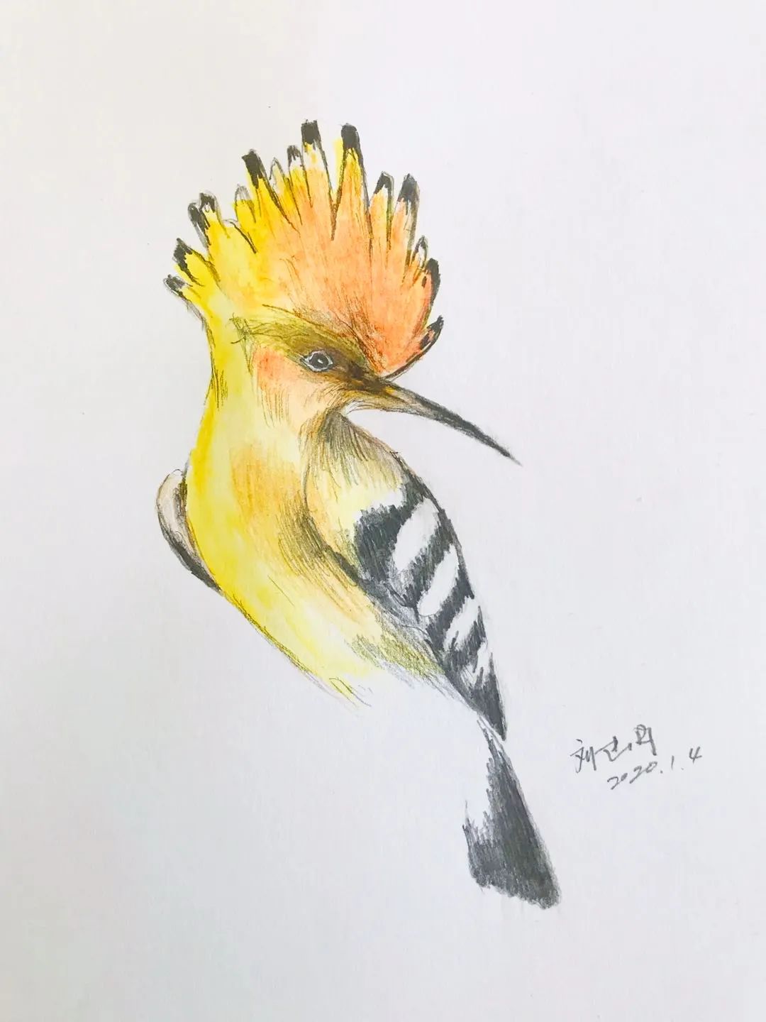 birdWatching