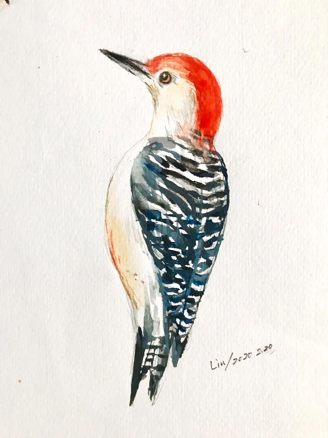 birdWatching