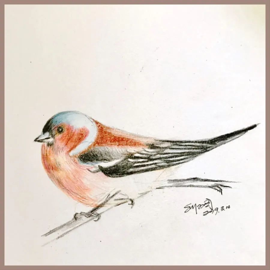 birdWatching