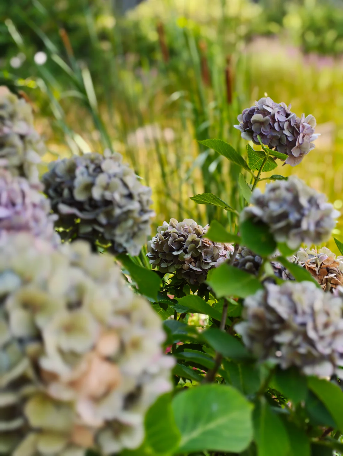 Posted media