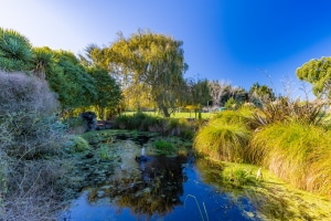 The Meadows Villa pond
