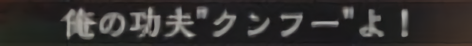 :orenokunfu_yo: