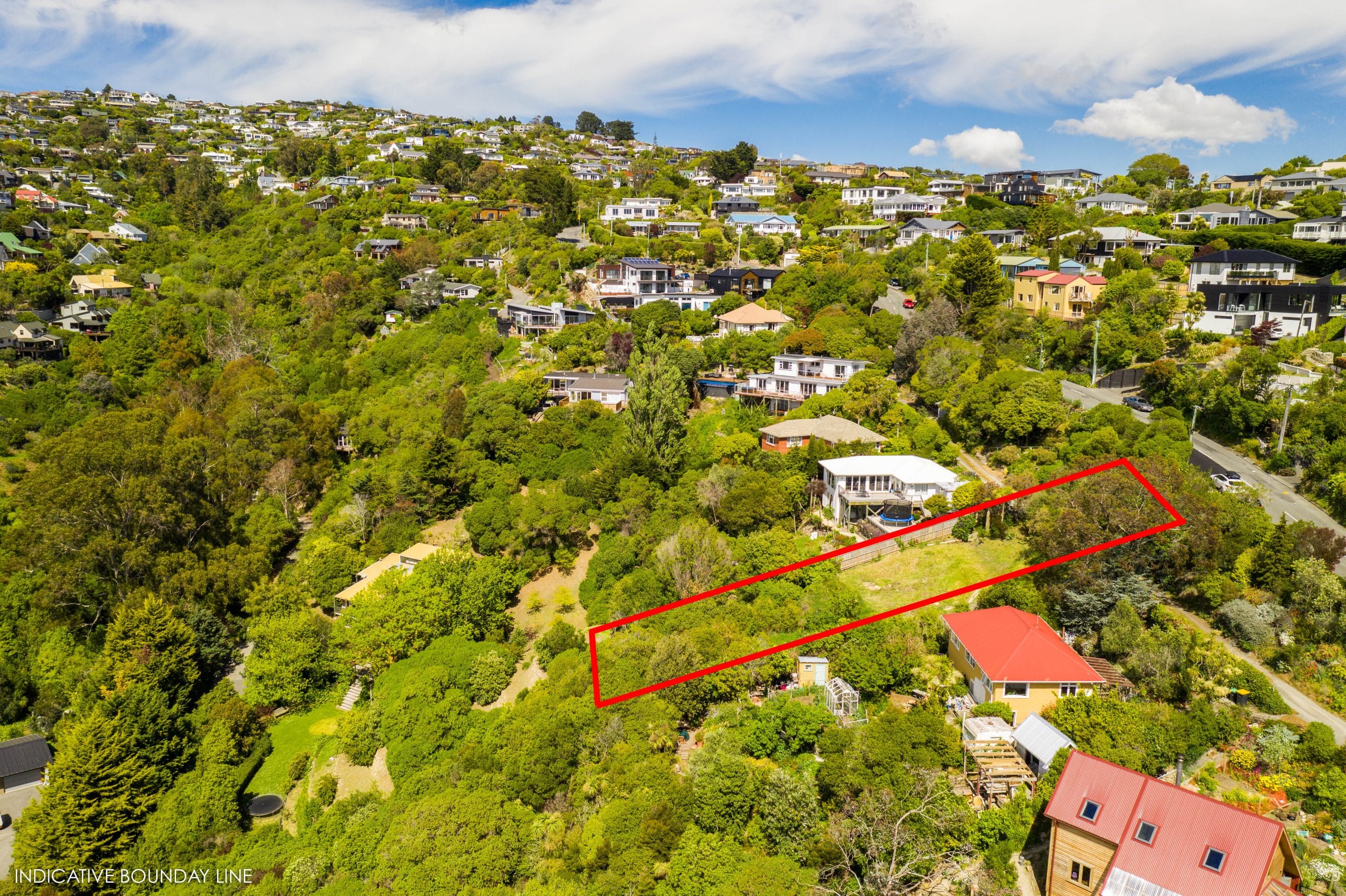 77 Mt Pleasant Road, Mt Pleasant Shaun + Liam Bayleys Real Estate